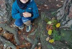 IMG_20251103_111412