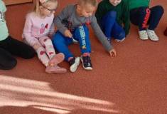 IMG_20251104_092508