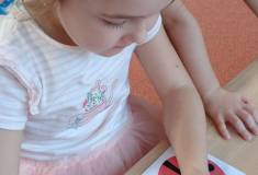 IMG_20251105_080703