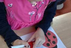 IMG_20251105_081639