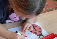 IMG_20251105_083437