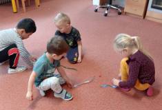 IMG_20251105_094836