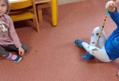IMG_20251105_095403