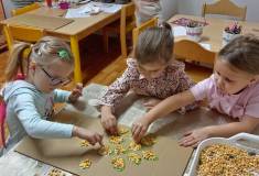 IMG_20251106_082227