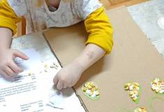 IMG_20251106_083748