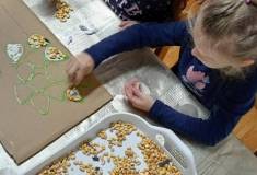 IMG_20251106_084701