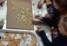 IMG_20251106_084916