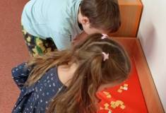 IMG_20251106_094517