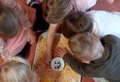 IMG_20251106_094547