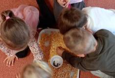 IMG_20251106_094549