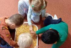 IMG_20251106_094613