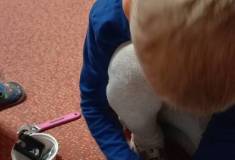 IMG_20251107_064214