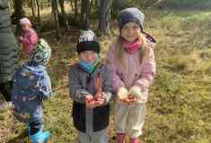 0fc81dc8-6645-4b45-8b16-d644594150f3