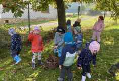 2547c47f-fa93-4f67-9370-3d27487d6e60