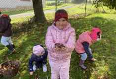 2d01a49e-1a00-4f82-a639-2520937ab2b6