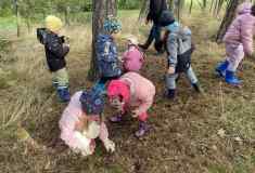 3f73b81a-26c1-4022-b9dd-8b1cb3543eef