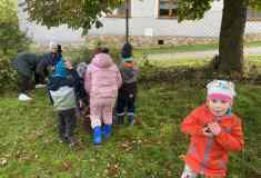 469c7f97-11b1-4ca3-9d9c-a3b2dcb4dc71