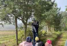 492ce9a7-c55c-4067-9fcb-f3cbab33bd5a