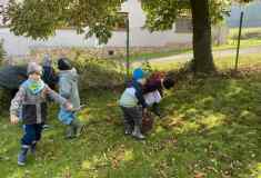 5e303752-16ac-44df-bf5d-77b0941698ed