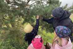 7d560861-e6c5-42a6-96c6-fbb3d980796c