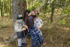 aa3d99fd-bf09-42ef-a456-248fcb457dd7