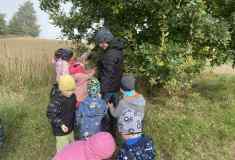 b36285ea-c33c-439c-bec6-159632b14f3e