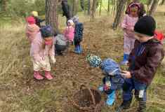 c3390800-cf30-4ff8-afd7-e6c42c443000