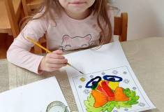IMG_20251210_080758
