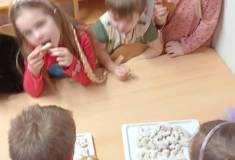 IMG_20251211_094935