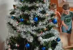 IMG_20251215_094810