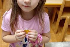 IMG_20251216_083939