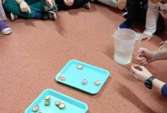 IMG_20251216_095350