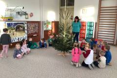 Vánoční přípravy