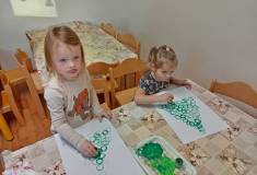 IMG_20231213_085359