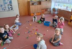 IMG_20231213_093548
