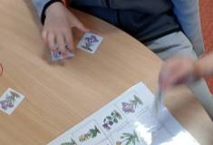 IMG_20260331_073225