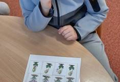 IMG_20260331_073453