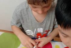 IMG_20260331_081647