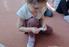 IMG_20250404_093345