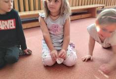 IMG_20250404_093444