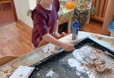 IMG_20240320_080911
