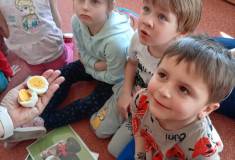 IMG_20240320_095121