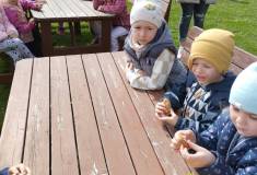 IMG_20250415_103412