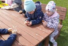 IMG_20250415_103417