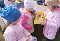 IMG_20250415_103427