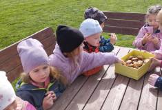 IMG_20250415_103448