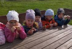 IMG_20250415_103532