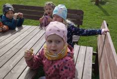 IMG_20250415_103534