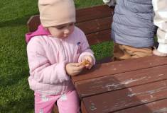 IMG_20250415_103545