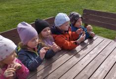 IMG_20250415_103724